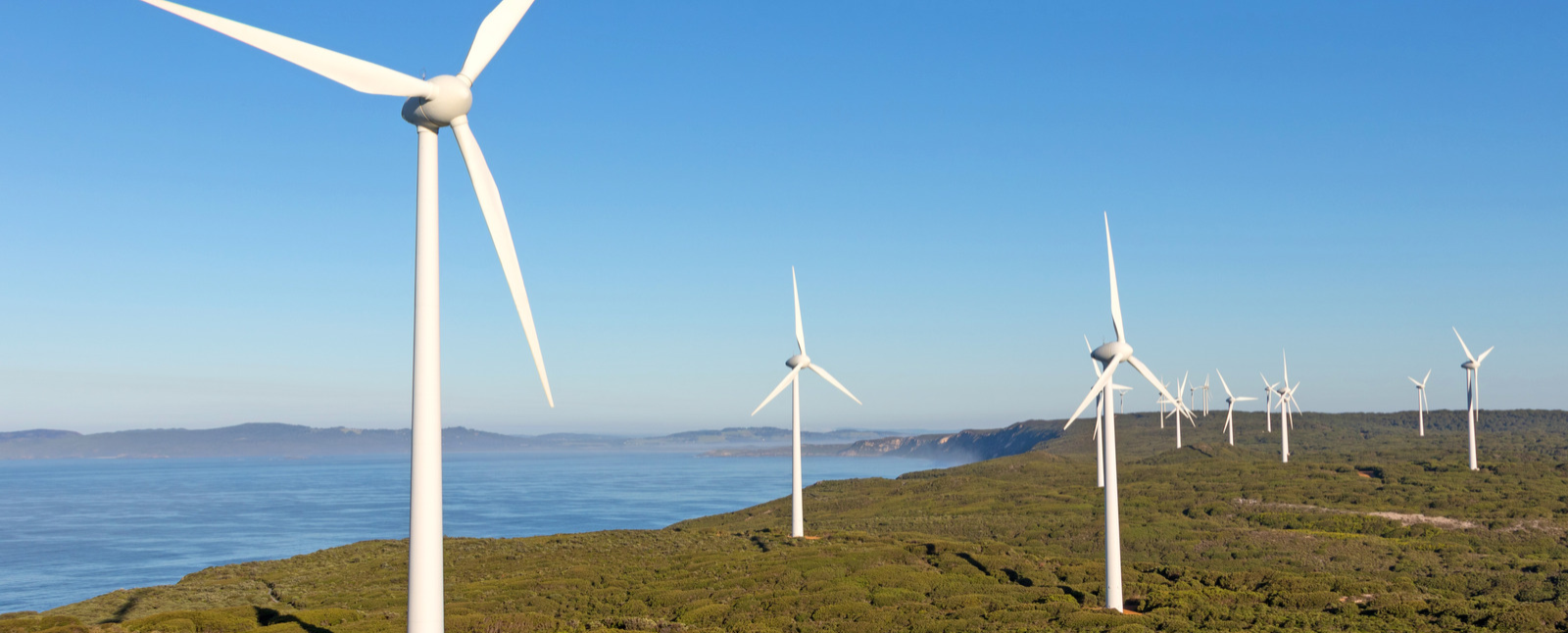 Albany_Wind_Farm_2 - Edited - Edited