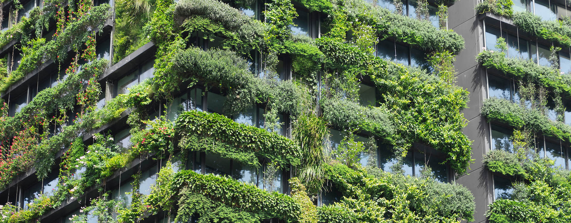 bnr-central-park-green-wall-1