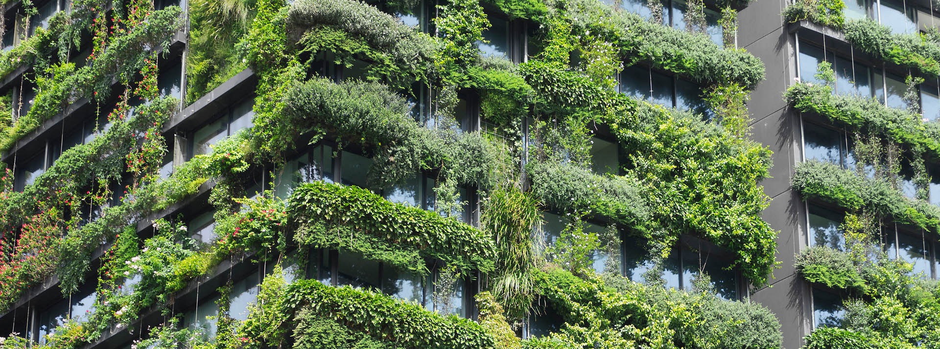 bnr-central-park-green-wall